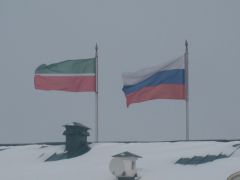 IMG 7407