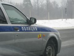 IMG 7330
