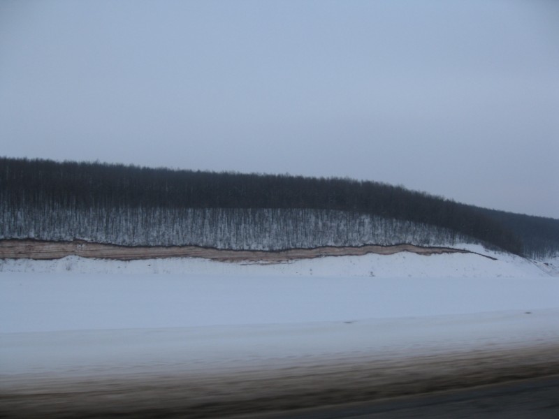 IMG 7336