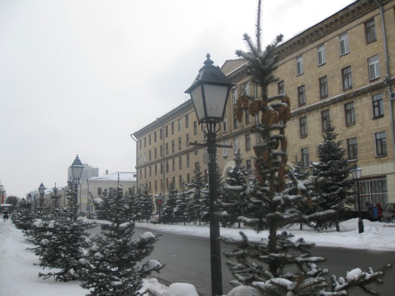 IMG 7427