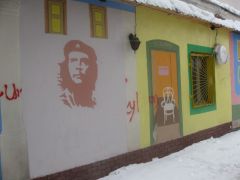 IMG 7442