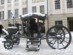 IMG 7439