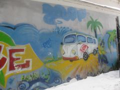 IMG 7443