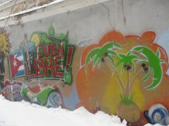 IMG 7444