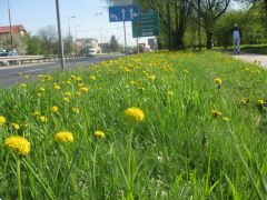 IMG 7705