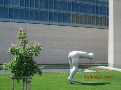 IMG 1982