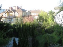 IMG 7702