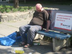 IMG 7743
