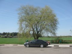 IMG 7692