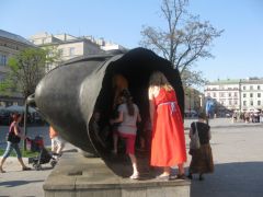 IMG 7725