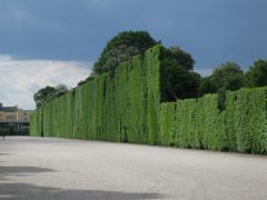 IMG 8296