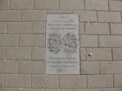 IMG 7745