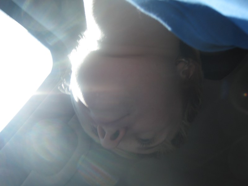IMG 7682