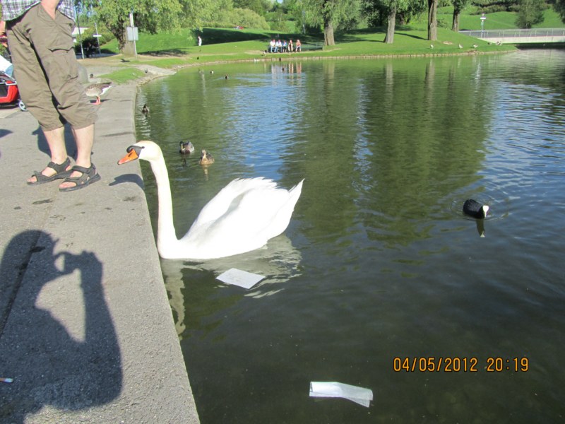 IMG 2300