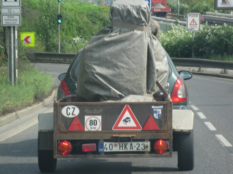 IMG 7995