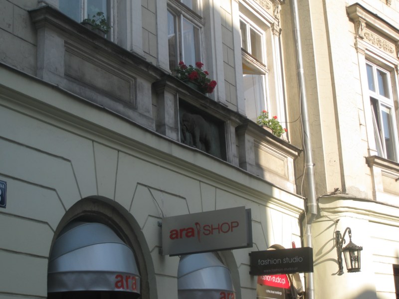 IMG 7730