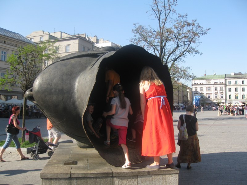 IMG 7725