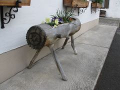 IMG 8160