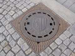 IMG 7982