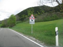 IMG 8155