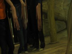 IMG 7855