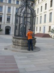 IMG 7808