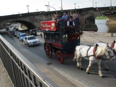 IMG 7923