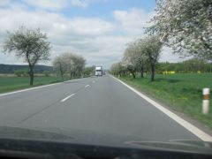 IMG 7997