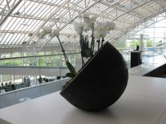 IMG 8034