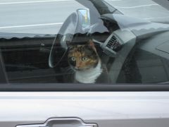 IMG 8346