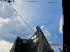 IMG 1711
