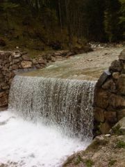 IMG00508 20120505 1306