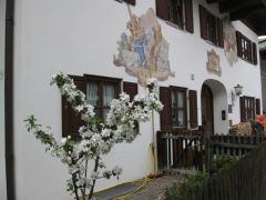 IMG 8164