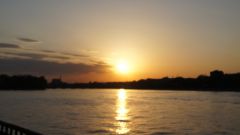 DSC00916