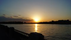 DSC00914