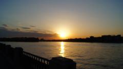 DSC00915