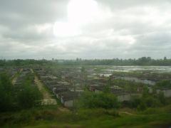 Минск 15 июня 2008 года
