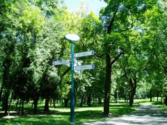 Минск 15 июня 2008