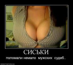 post383637 img1