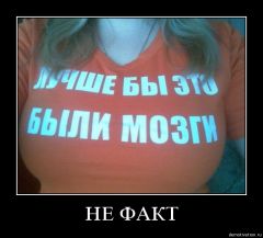 post383548 img1