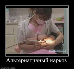post427827 img1 5c9ce0fff99fd22593f7ce6a9ec476b5