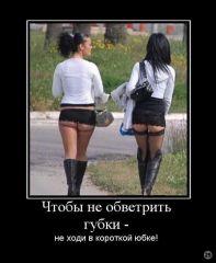 post386476 img1
