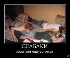 post386481 img1