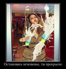 Demotivators 43