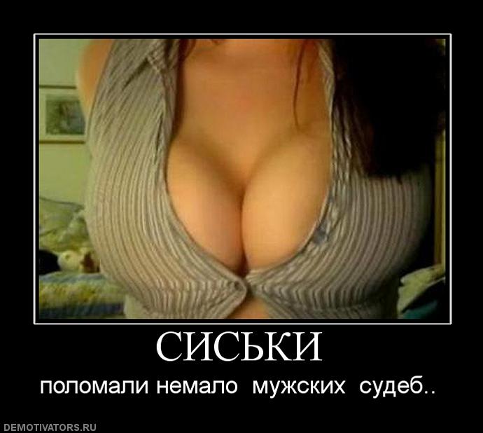 post383637 img1
