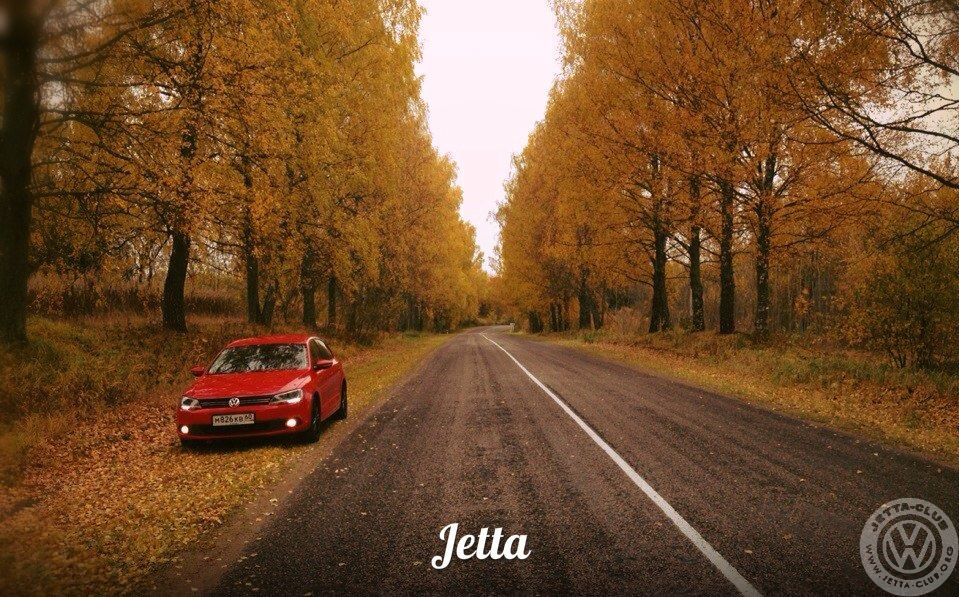 jetta