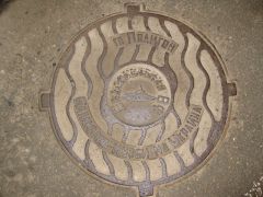 IMG 8561