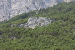 IMG 0492