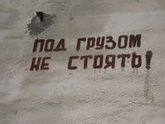 IMG 8575