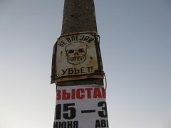 IMG 8394